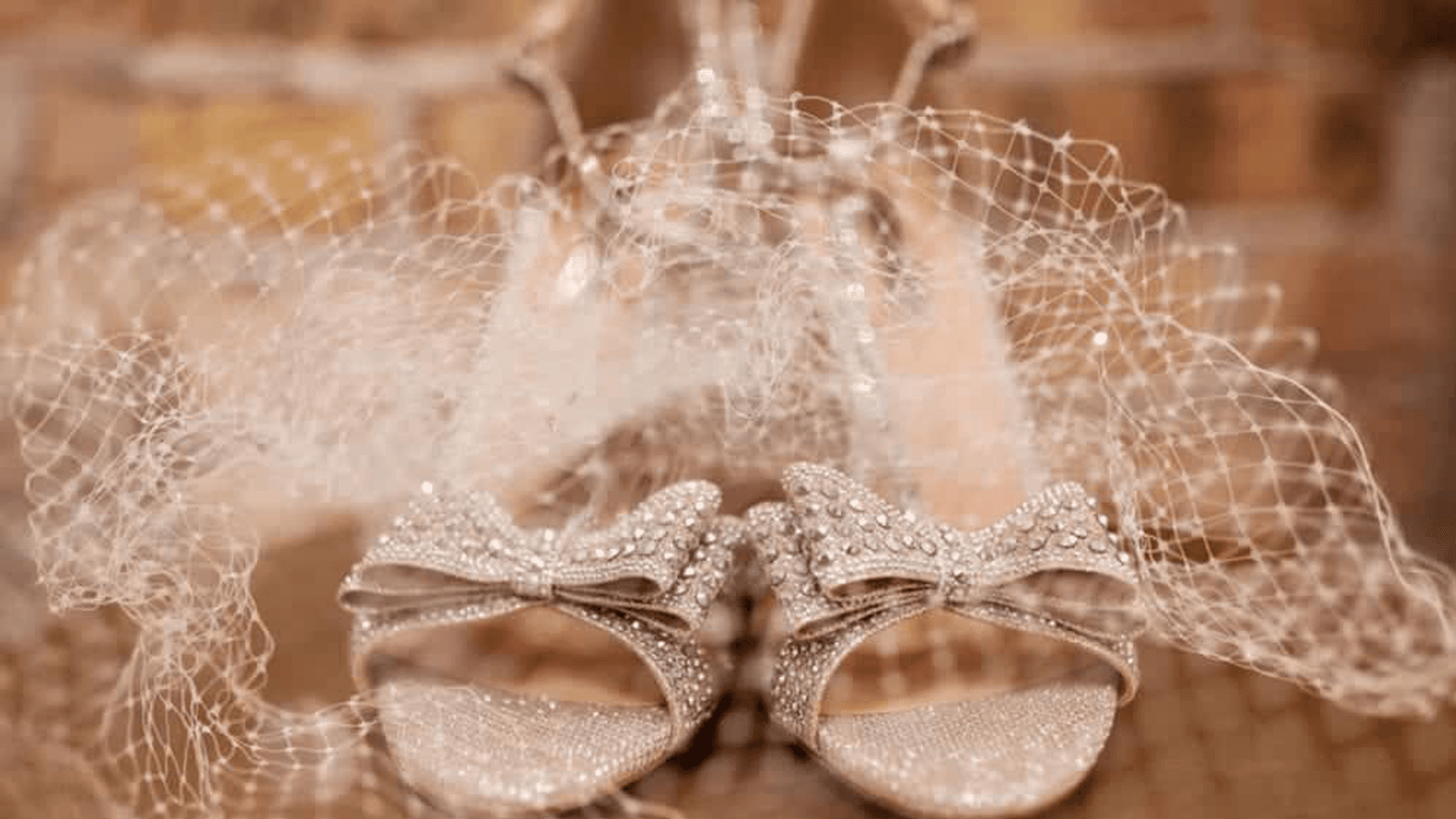 Sparkling silver heels with bows surrounded by delicate netting.